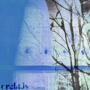 Orchids, The/The Orchids [LP]