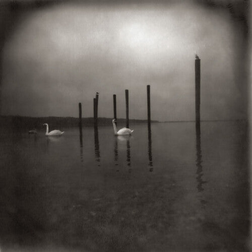Om/Conference Of The Birds [LP]