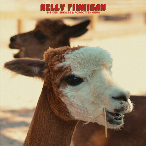 Finnigan, Kelly/B-Sides, Singles & Forgotten Gems (Fire Red Vinyl) [LP]