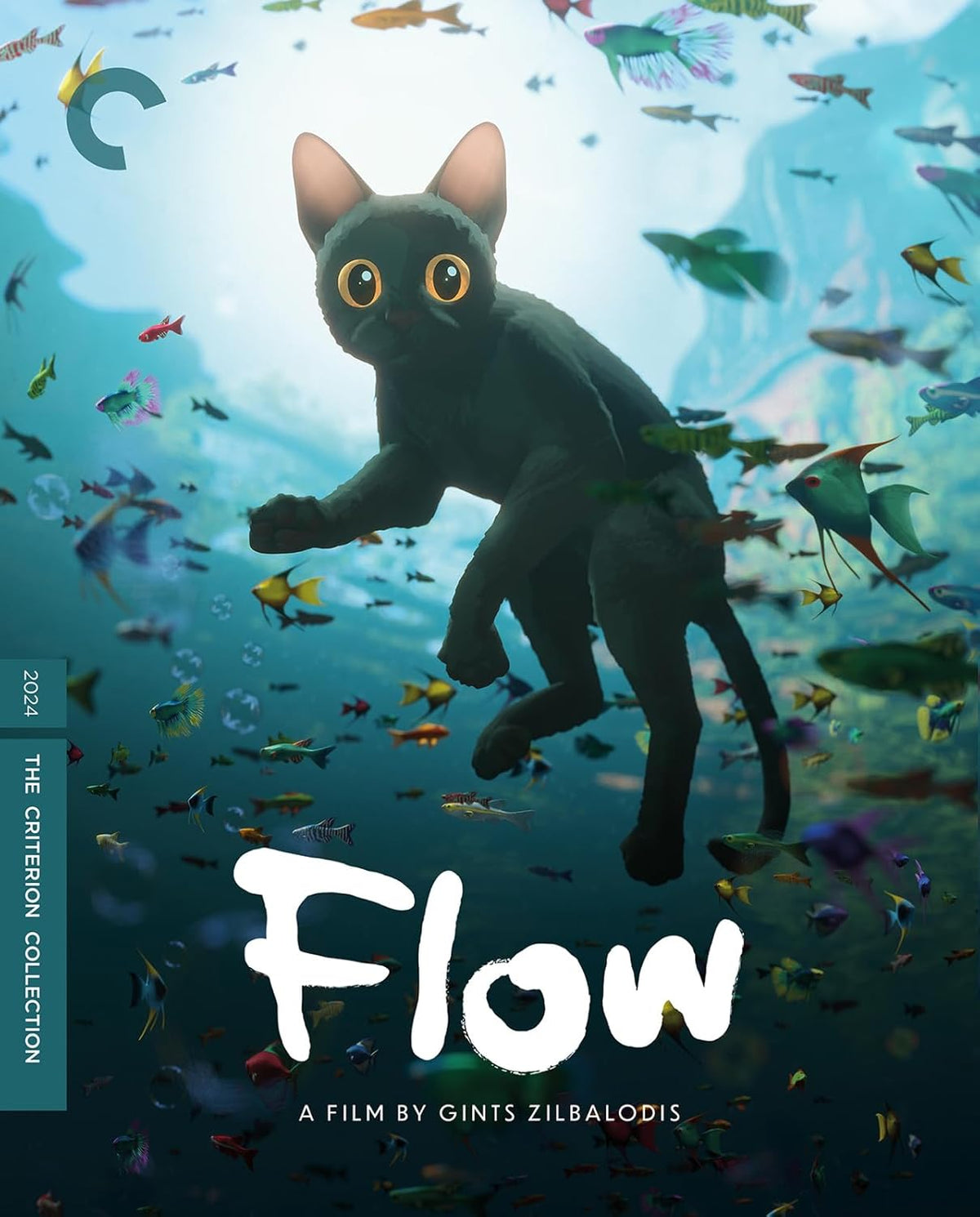 Flow [BluRay]