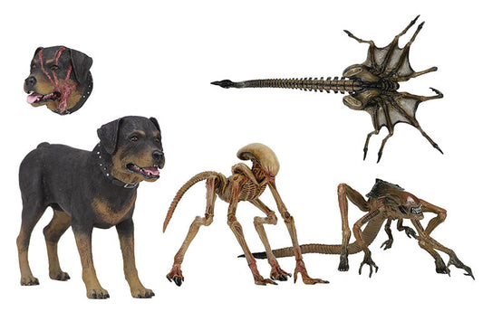 Alien 7 Inch Accessory Pack Box Set - Alien 3 Creature Pack (Sub Standard Packaging)