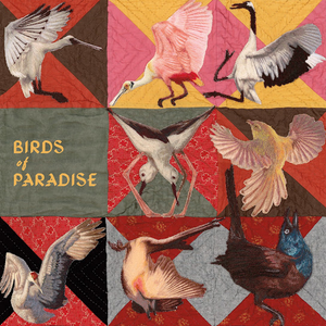 Dollbaum, Thomas/Birds Of Paradise [LP]