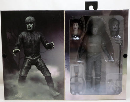 Universal monsters 7 Inch Action Figure Ultimate - Wolf Man Black & White (Shelf Wear Packaging)